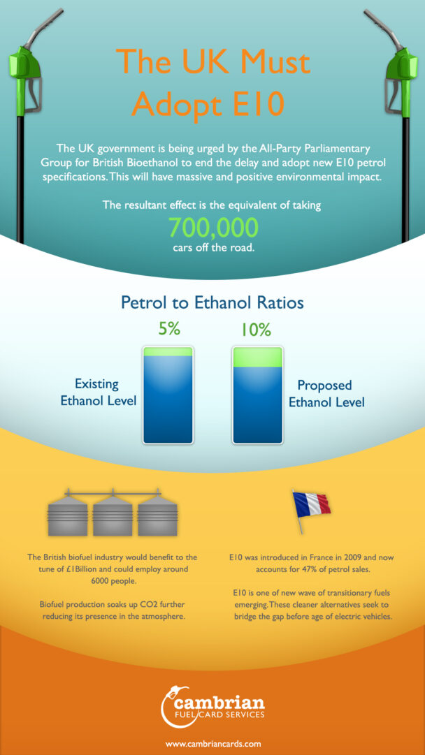 adopt e10 infographic