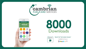 8000 downloads landscape preview
