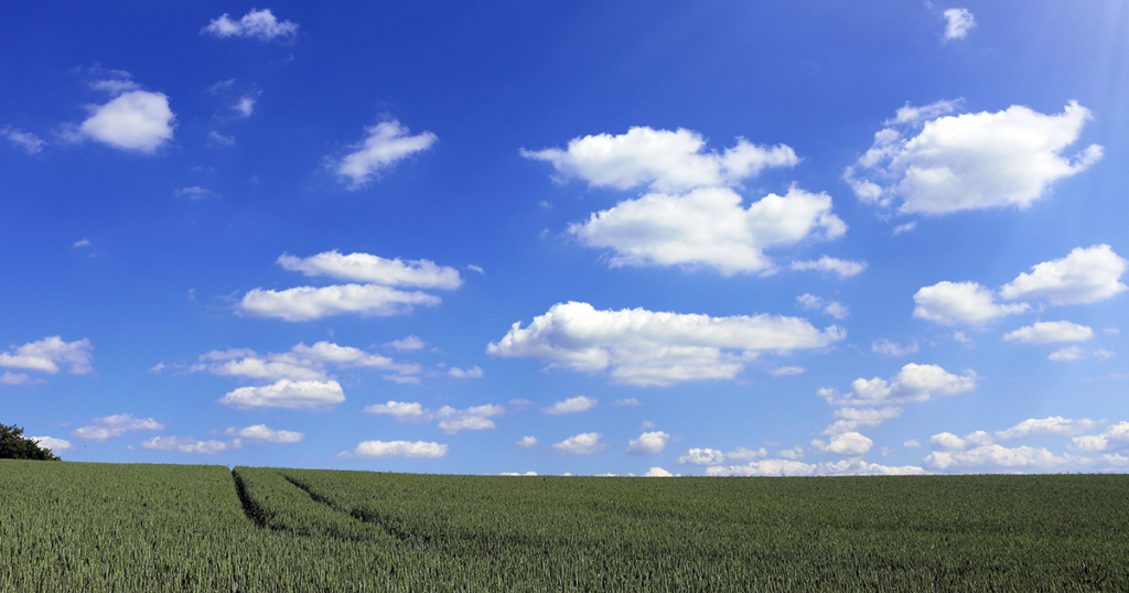 a clear sunny day