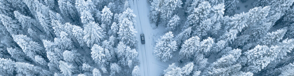 5 Things You Shouldn’t Leave in Your Vehicle in the Winter