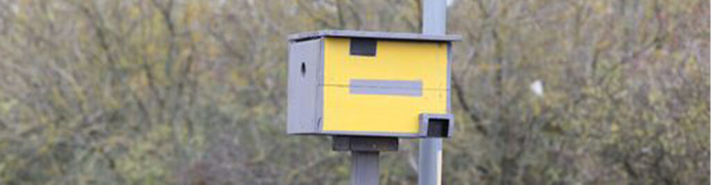 birdbox speed camera