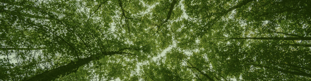 What is Cambrian doing for Earth Day 2022